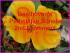 Click to view Miss Denise Hewitt - Classic Flower Music Video - Beethoven Pathetique Sonata - 2nd Movement