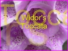 Click to view Miss Denise Hewitt - Classic Flower Music Video - Widor Toccata  from his 5th Organ Symphony