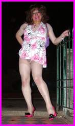 [Click to enlarge Miss Denise Hewitt's MEGA TV Photo!]