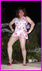 [Click to enlarge Miss Denise Hewitt's MEGA TV Photo!]
