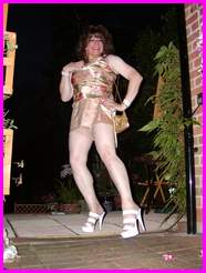 [Click to enlarge Miss Denise Hewitt's MEGA TV Photo!]