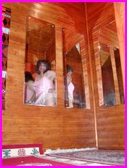 [Click to enlarge Miss Denise Hewitt's MEGA TV Photo!]