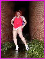[Click to enlarge Miss Denise Hewitt's MEGA TV Photo!]