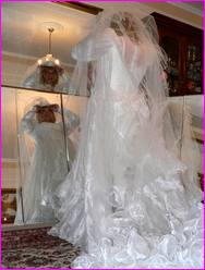 Click to enlarge Miss Denise Hewitt's wonderful Mega Photo!