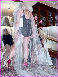 Click to enlarge Miss Denise Hewitt's wonderful Mega Photo!